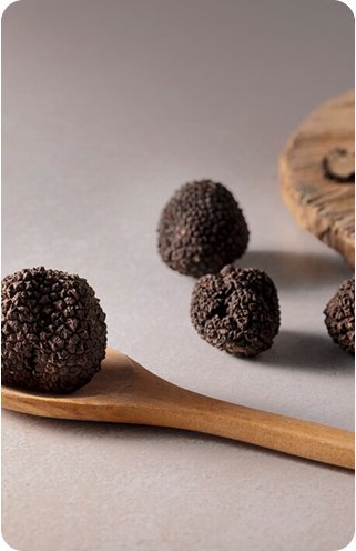 Rudraksha