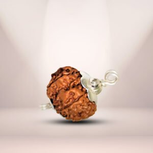11 Mukhi Rudraksha