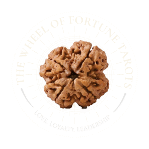 4 Mukhi Rudraksha