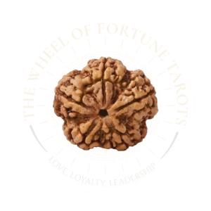5 Mukhi Rudraksha